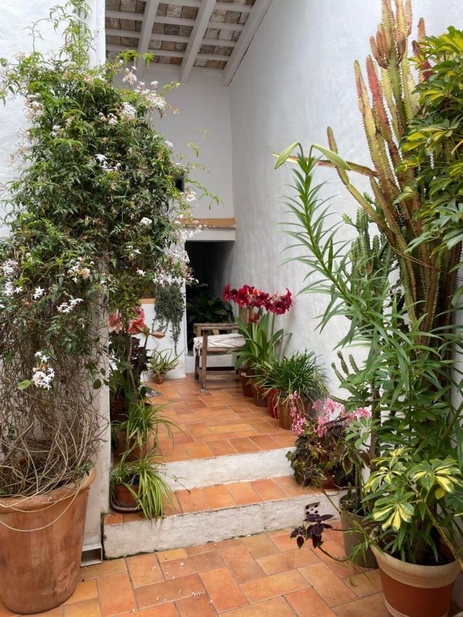 ベヘール・デ・ラ・フロンテーラ Casa Dulceヴィラ エクステリア 写真